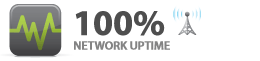 Website Hosting 100% Network Uptime